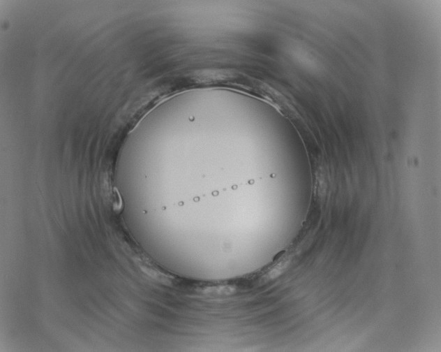 X0000076410426200610202200