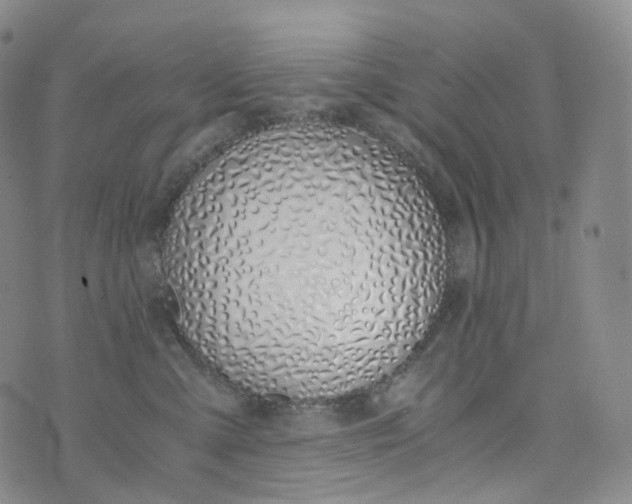 X0000076410427200610202200