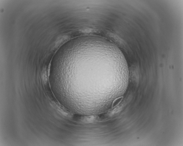 X0000076410479200610202159