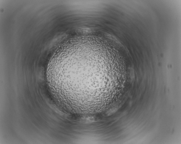 X0000076410760200610202155