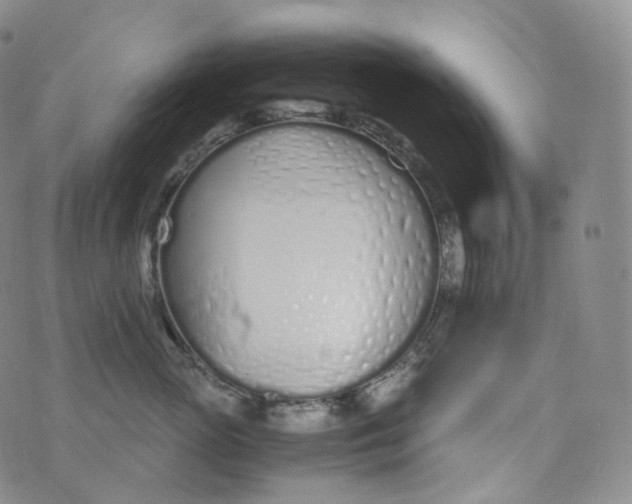 X0000076410765200610202155
