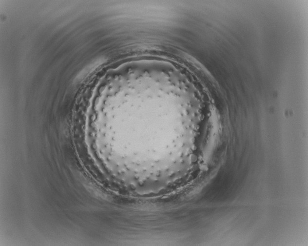 X0000076410785200610202154