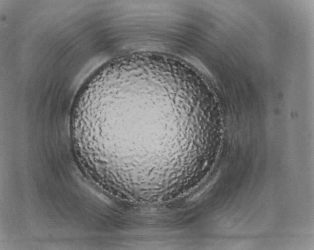 X0000076410790200610202154