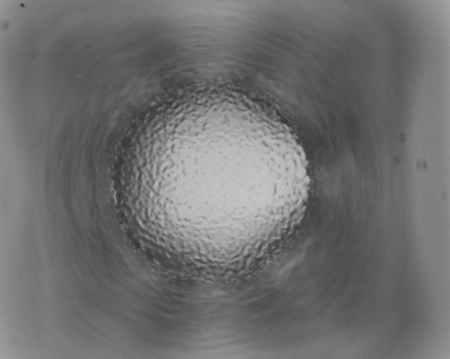 X0000076410913200610202151