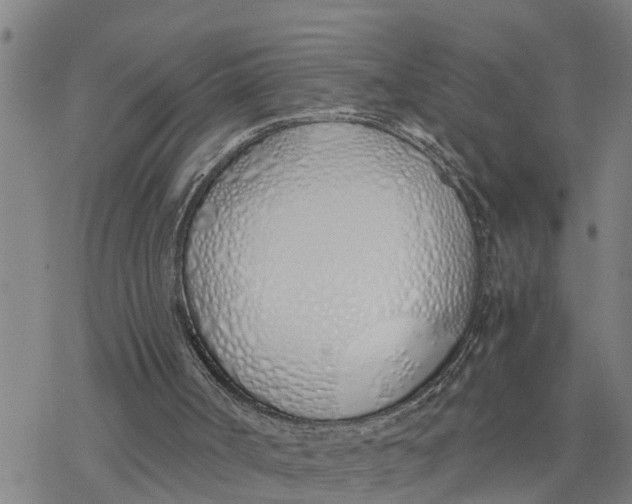 X0000076410002200610271654