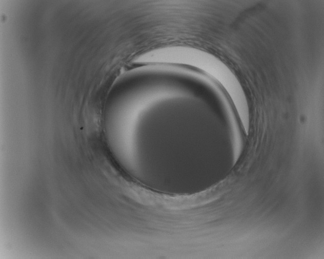 X0000076410039200610271654