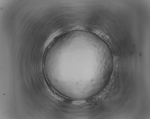 X0000076410051200610271653