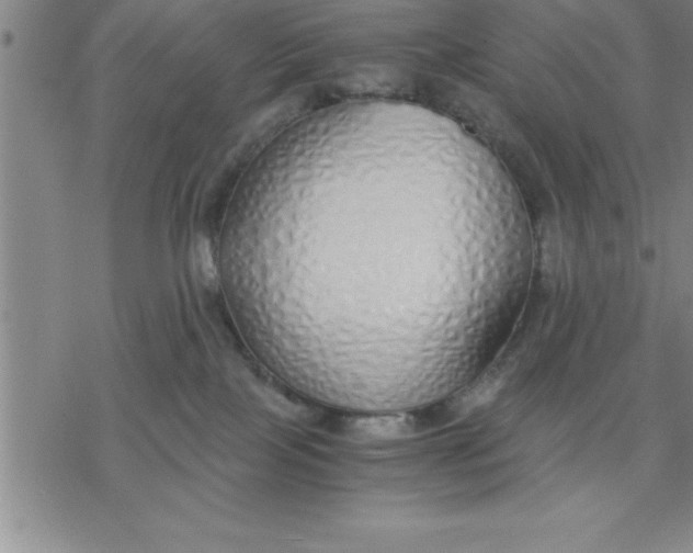 X0000076410089200610271654
