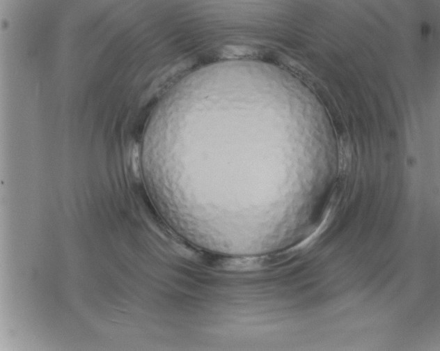 X0000076410094200610271654