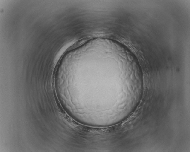 X0000076410147200610271651