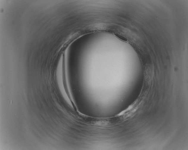 X0000076410168200610271652