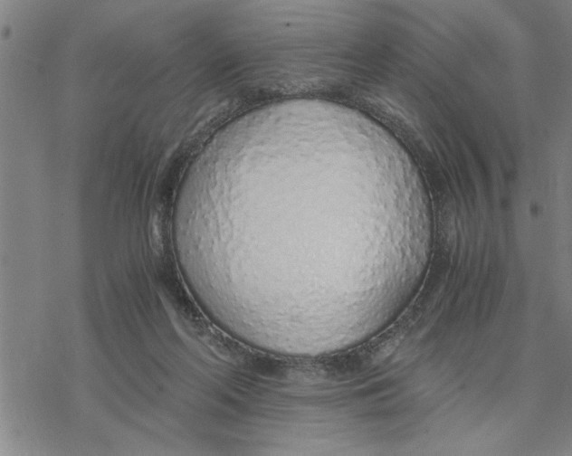 X0000076410214200610271651