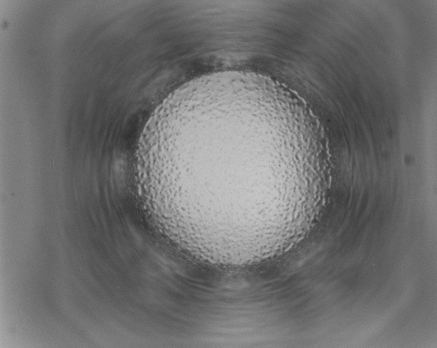 X0000076410222200610271651