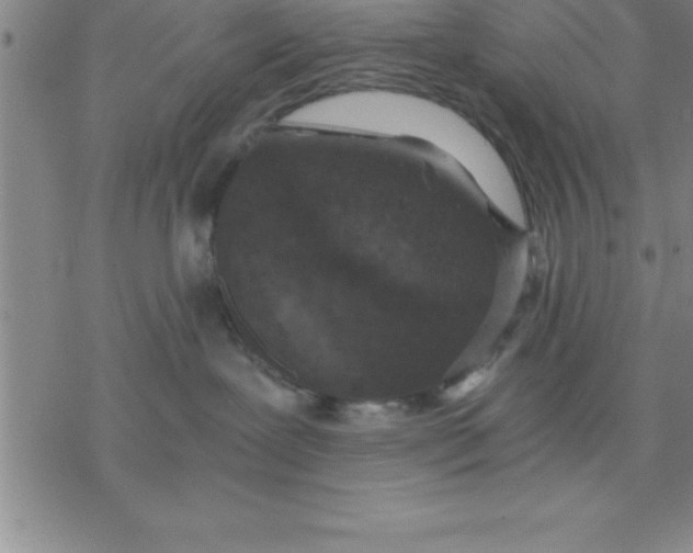 X0000076410239200610271651