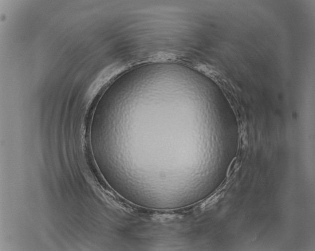 X0000076410242200610271650