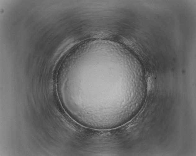 X0000076410243200610271650