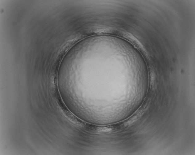 X0000076410257200610271650