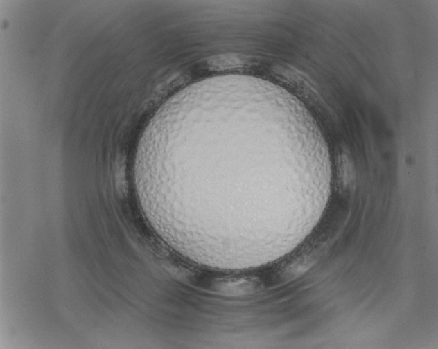 X0000076410267200610271650