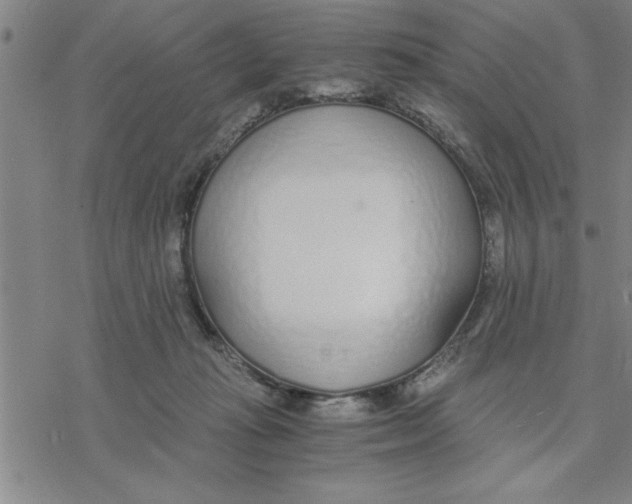X0000076410269200610271650