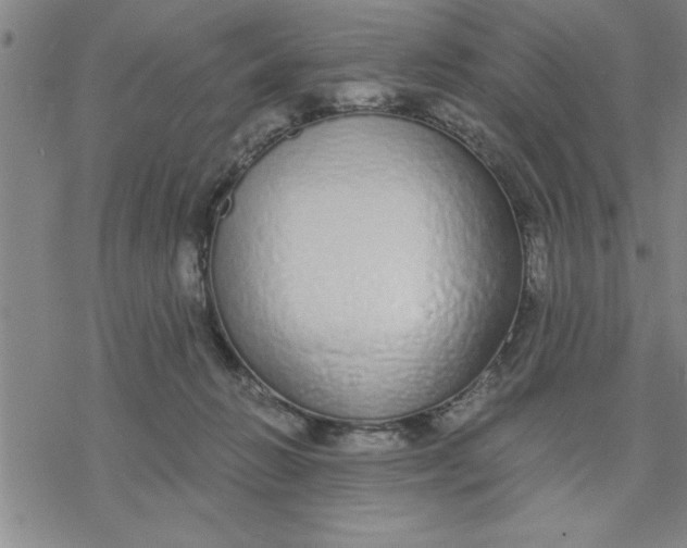 X0000076410270200610271650