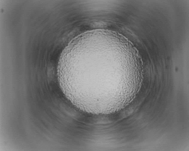 X0000076410322200610271649