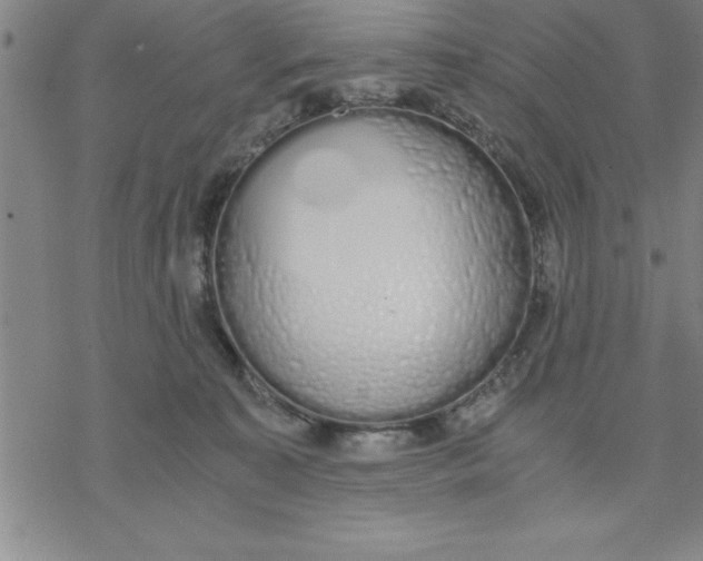 X0000076410323200610271649