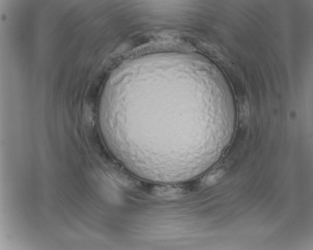 X0000076410331200610271649