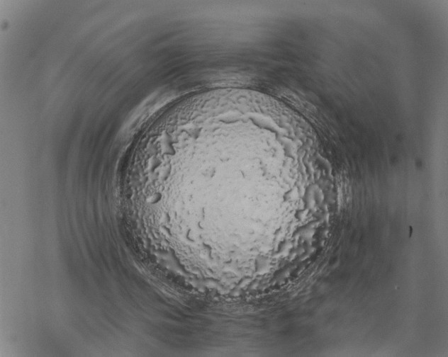 X0000076410339200610271648