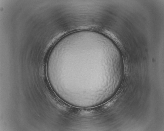 X0000076410346200610271648