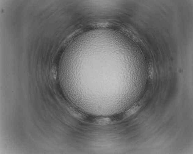 X0000076410374200610271649
