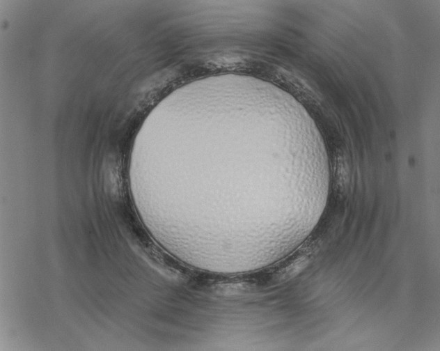 X0000076410408200610271648