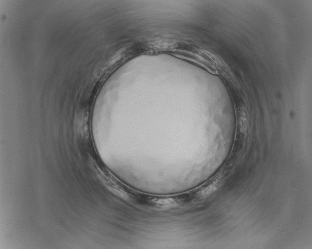 X0000076410409200610271648