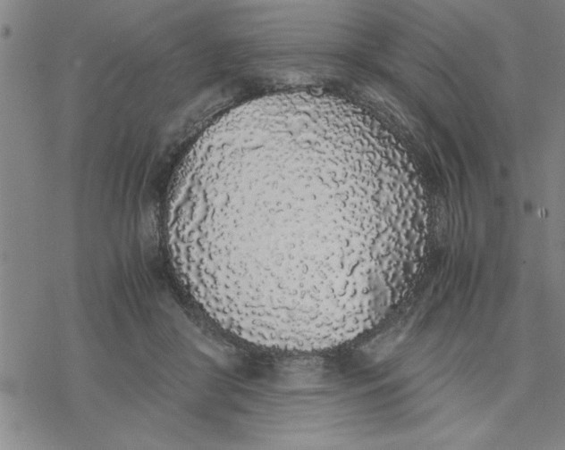 X0000076410410200610271648