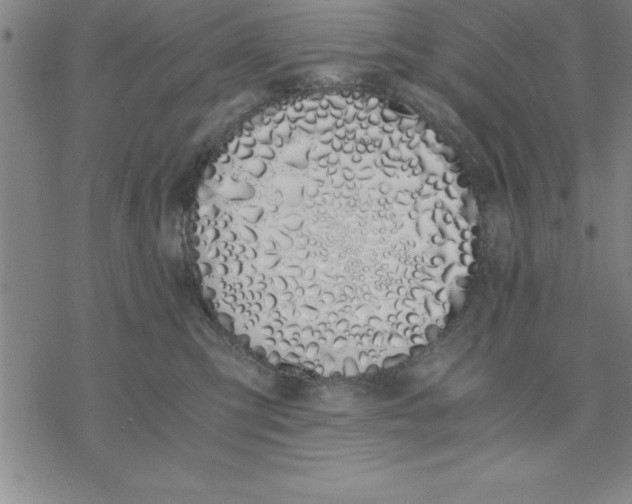 X0000076410423200610271648
