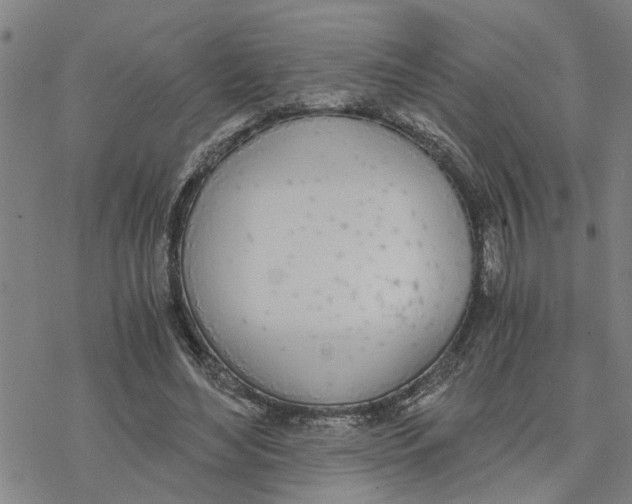 X0000076410492200610271646