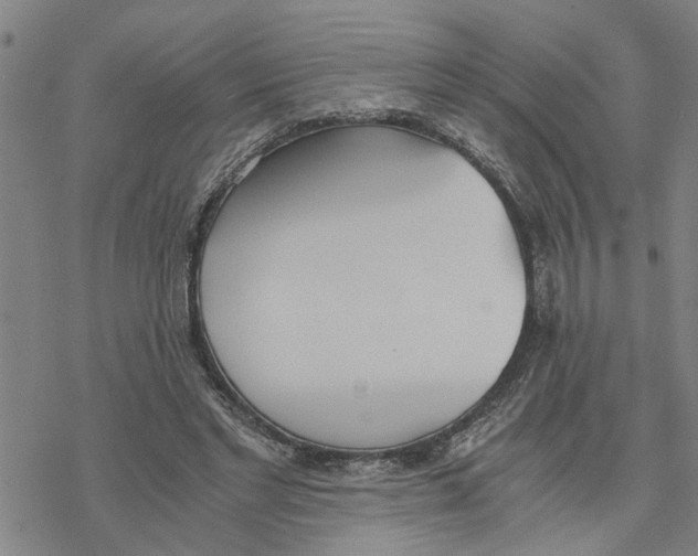 X0000076410493200610271646