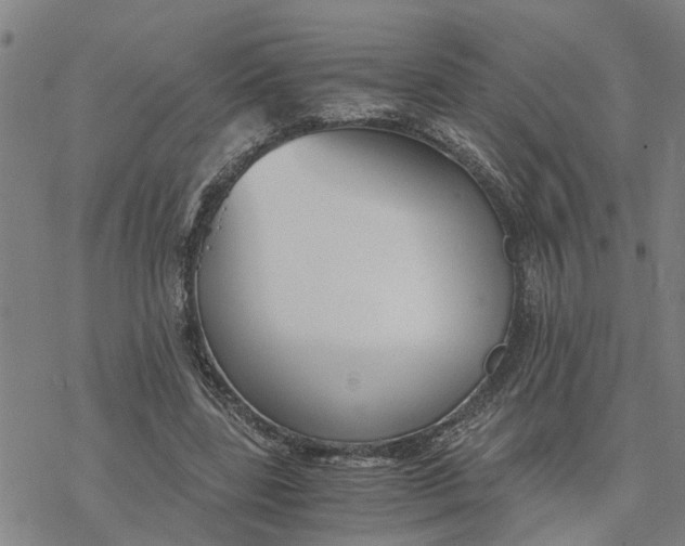 X0000076410539200610271645