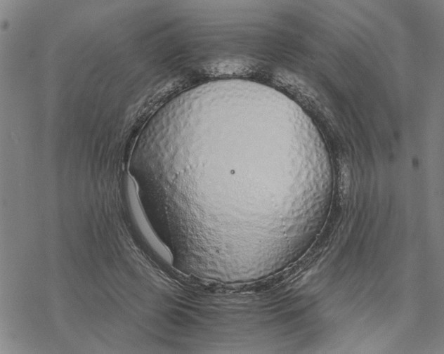 X0000076410545200610271645