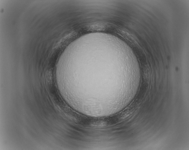 X0000076410551200610271645