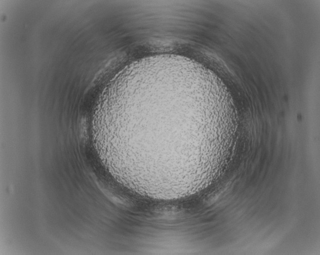 X0000076410598200610271645