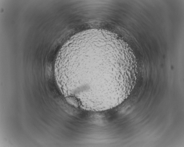 X0000076410610200610271645