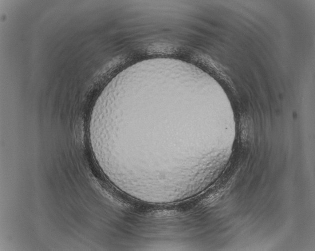 X0000076410637200610271644