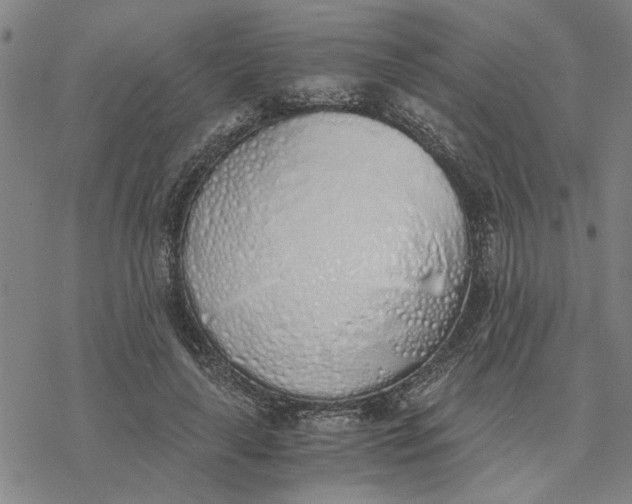 X0000076410643200610271644