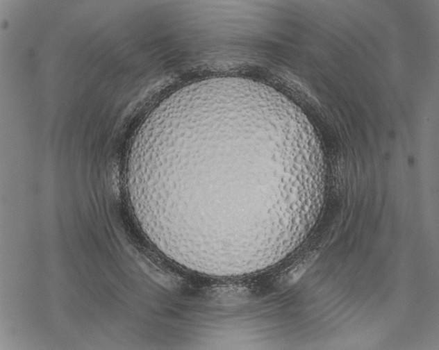 X0000076410644200610271644
