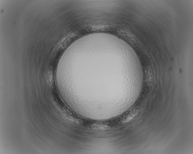 X0000076410648200610271644