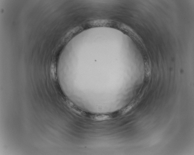 X0000076410669200610271644
