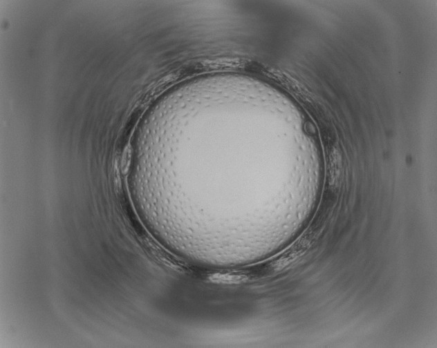 X0000076410699200610271643
