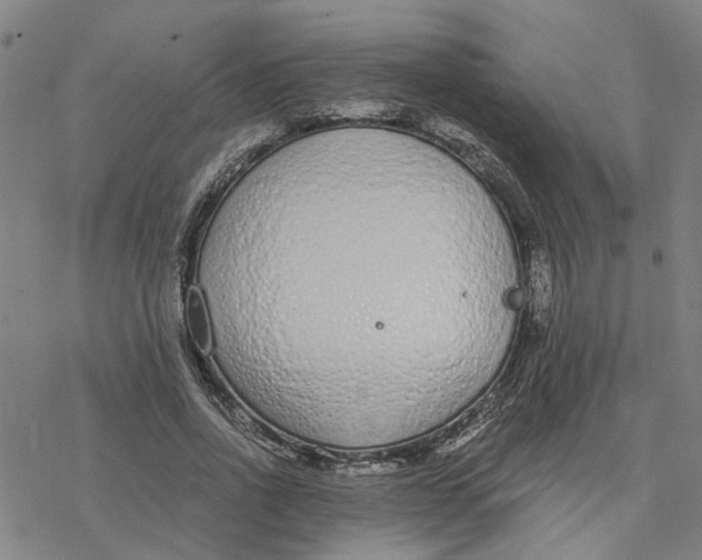 X0000076410734200610271642