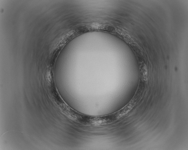 X0000076410746200610271642