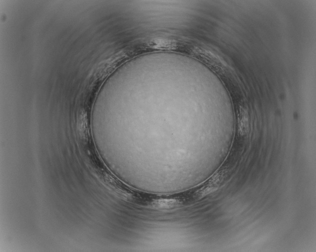 X0000076410748200610271642